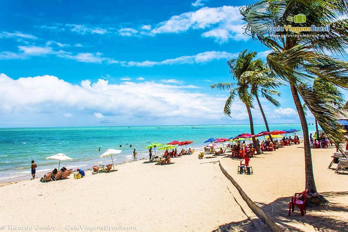 Ape 100 Metros Do Mar - Praia Maceio  Luaran gambar